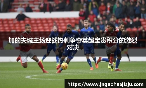 加的夫城主场迎战热刺争夺英超宝贵积分的激烈对决