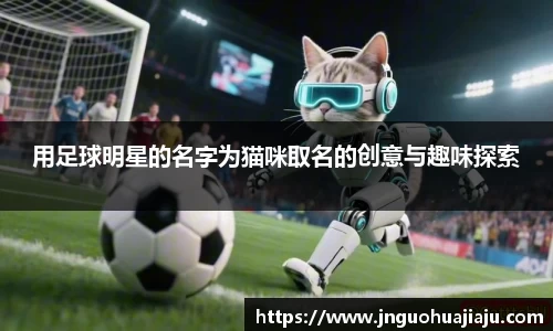 用足球明星的名字为猫咪取名的创意与趣味探索